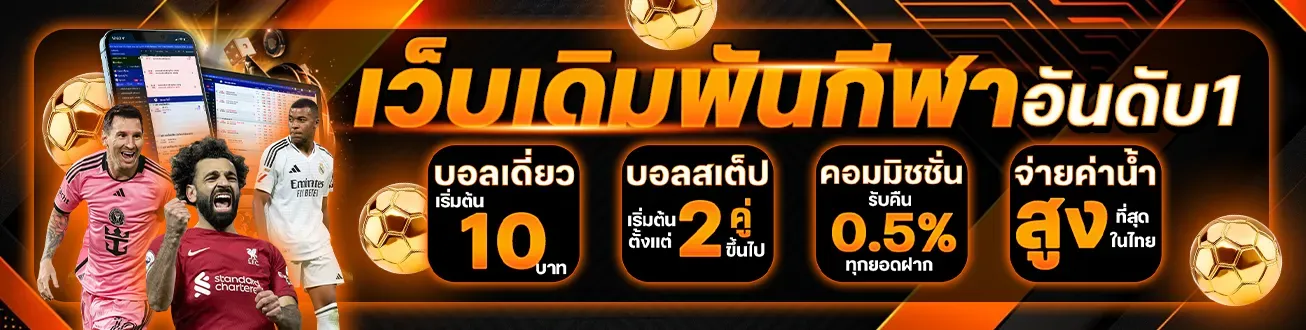 543254354543533 (12)