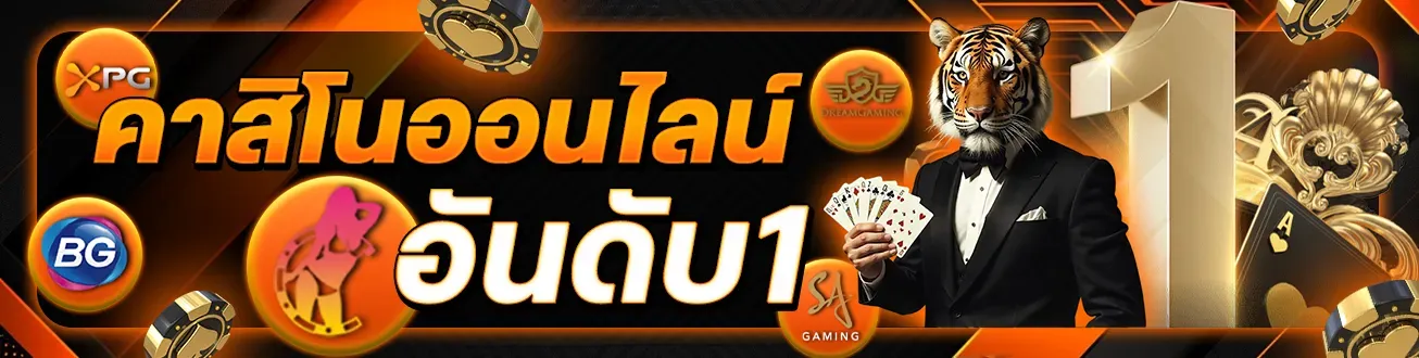 543254354543533 (23)