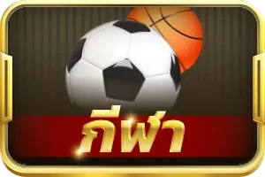 543254354543533 (33)